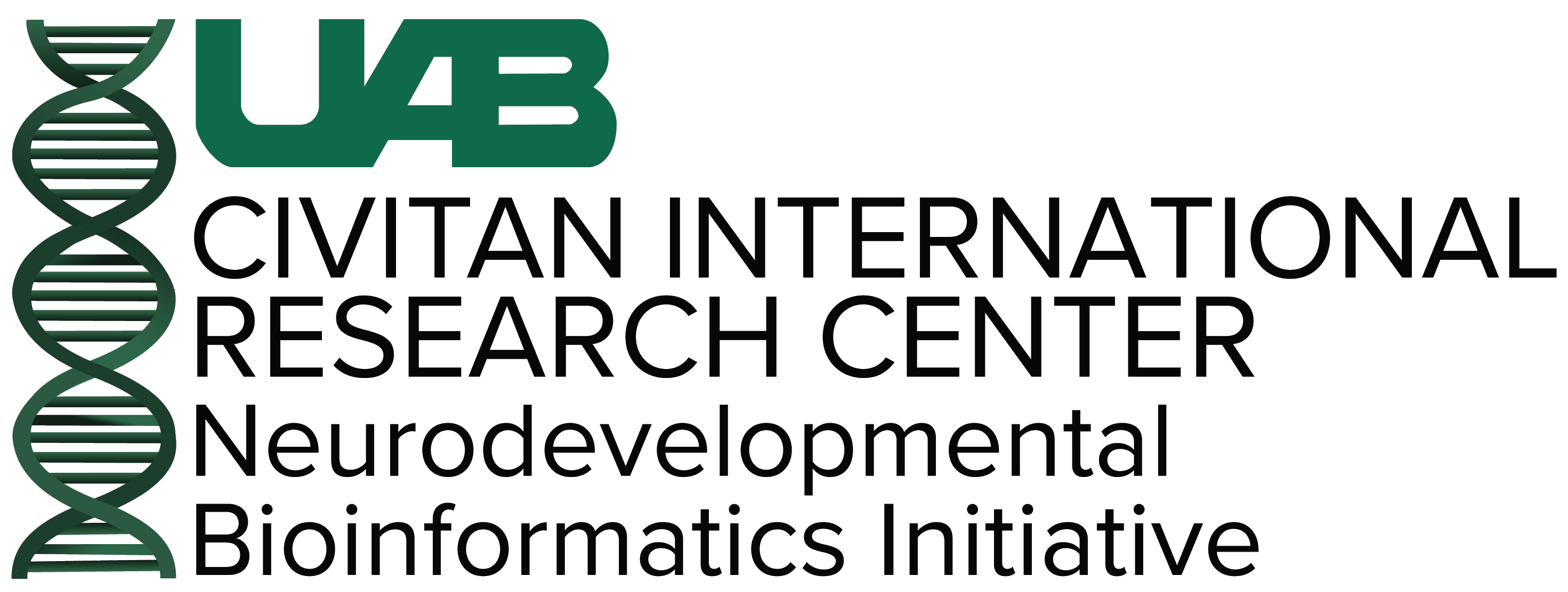 CIRC Neurodevelopmental Bioinformatics Initiative (NBI) Logo